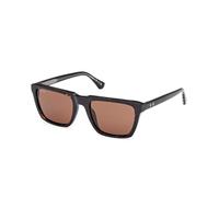 Web WE0379 56E Man Sunglasses Acetate Havana Brown Squared Normal