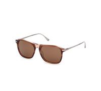 Web WE0386 56E Unisex Sunglasses Acetate Havana Brown Squared Normal
