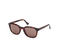 Web WE0390 52E Man Sunglasses Acetate Havana Brown Round Normal