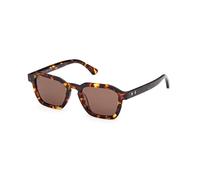 Web WE0392 55E Man Sunglasses Acetate Havana Brown Squared Normal