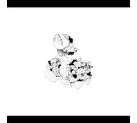 Webber, Anna and Matt Mitchell - Capacious Aeration