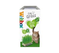Webbox Cat Grass Kit 120g