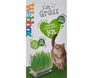 Webbox Cat Grass Kit 120g