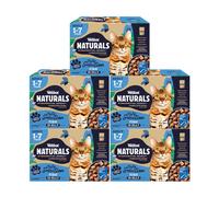 Webbox Naturals Complete Adult Wet Cat Food, 60 x Fish in Jelly Variety Pack - Made with Natural Ingredients and No Nasties (60 x 100g Pouches)