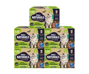 Webbox Naturals Complete Kitten (1-12 Months) Wet Cat Food, 60 x Meat & Fish in Jelly Variety Pack - Made with Natural Ingredients and No Nasties (60