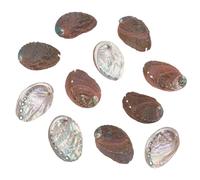 WEBEEDY 10 Pcs Abalone Shell Natural Sea Shells for Crafts, 8-9cm, Craft Seashells for Beach Themed Party Decor, Jewelry Tray, Resin Crafts, Candle Making, Wedding Home Decor
