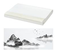 WEBEEDY 100 Sheets Raw Rice Paper, Chinese Japanese Calligraphy Xuan Paper Raw Rice Papers Sheets for Chinese Ink Wash Painting and Calligraphy Brush Art, 34 x 69 cm