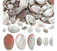WEBEEDY 120 PCS Natural Abalone Sea Shells 2 Sizes Abalone Shell for Crafts Hand Selected with Pre-Drilled Holes for Jewelry Making DIY Home Decor Art Projects,2-4cm;4-6cm