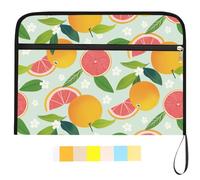 WEBEEDY 13 Pockets Expanding File Folder Citrus Print Accordion File Organizer with 12 Color Labels, Orange Fruit Expandable Folder Organizer for Paper Letter Bill Document Office Supplies, A4 Size