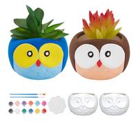 WEBEEDY 2 PCS Graduation Ceramic Owl Painting Kit Ceramic Owl Pottery Kit for Adults Beginners Paint Your Own Owl Succulent Pots DIY Plant Pots Arts Crafts Kit for Fun Home Acticity Graduation Gift