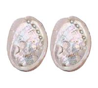 WEBEEDY 2 PCS Large Abalone Shell 10-12 cm/3.9-4.7" Natural Abalone Seashells Hand Selected Abalone Shell for Holding Incense,Trinkets Natural Smudge Bowl Unique Beach Theme Party Decorations