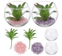 WEBEEDY 2 Sets DIY Glass Plant Terrarium Kit for Adults, Mini Terrarium Starter Kit with Plants, Crystals, Micro Landscape DIY Kit for Home Bedroom Party Decor Arts & Crafts Birthday Gift