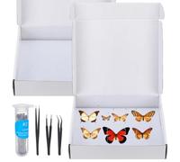 WEBEEDY 2 Sets Insect Pinning Kits Insect Specimen Tool Set with Pins Tweezers EVA Foam Board Specimen Box for Entomology Insect Specimen Making Collection Display, 30x26x6 cm