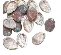 WEBEEDY 20 Pcs Natural Abalone Shell Pieces Oyster Shells for Crafts, 6-8cm Abalone Sea Shells Ornament with Hole Jewelry Tray Sea Shell Charm for for Jewelry Making Home Decor Craft Projects