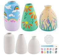WEBEEDY 3 Sets Vase Pottery Painting Kit for Adults Paint Your Own Vase Ceramic Painting Kit Unpainted White Vase for Art Painting Party Birthday Mother's Day Gift Fun Activity Home Decor (3 Shapes)