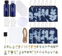 WEBEEDY 50 Sets Cyanotype Kit DIY Cyanotype Paper Sun Print Art Crafts Set Include 50 Blank Tags, Hemp Rope,2 Component Sensitizer,Stickers,Brush Tools and Instruction for Adults Home Decor