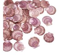 WEBEEDY About 40 Pcs Natural Scallop Shells Charm Purple Red Sea Shells Clam Shell for Crafts, 7cm/2.75 inches Natural Seashells for DIY Jewelry Making Home Decor Wedding Summer Party Decoration