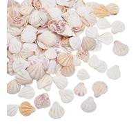 WEBEEDY About 80 Pcs Small Scallop Shells Charm Natural Sea Shell Clam Shells for Crafts, 3-5cm/1.2-2 inches Craft Seashells for DIY Jewelry Making Home Decor Wedding Summer Party Decoration