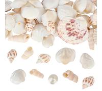 WEBEEDY Approx.125pcs Natural Sea Shells for Crafts Mixed Ocean Shells Oyster Conch Scallop Shell, Craft Seashells for Decoration, Beach Themed Party Decor, Vase Fillers, Fish Tank, Wedding Home Decor