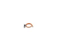 Weber Gas Adapter Kit for Q 100 / Q 1000, Go-Anywhere Gas and Performer Deluxe Barbecues - LPG Connection - Silver (8482)