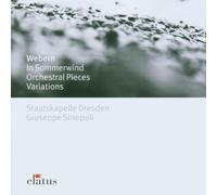 Webern: In Sommerwind, Passacaglia, Symphony Op. 21, Concerto Op. 24, Orchestral Pieces & Variations Op. 30