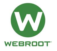 Webroot SecureAnywhere AntiVirus 2024 Key (1 Year / 3 Devices)