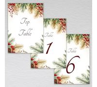 Webspectations Red Berry Christmas Table Numbers (includes Top Table and Tables 1-20): Red Berry Winter Wedding Table Numbers (Pack of 21 without Envelopes)