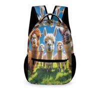 WECECE Cute Alpacas Motif Bookbag Primary for Boys and Girls Age 12 Llamas Pattern Rucksack Years 2-5 with Front Pocket Backpack Daily Items School Trips Travel