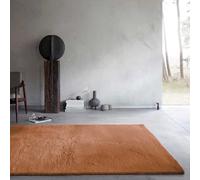 Wecon Home Basics Fluffy Deep-Pile Rug - Stylish and Elegant Design for Living Room, Bedroom and More - Anna (160 x 230 cm, Terracotta)