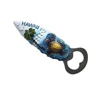 Wedare Hawaii USA Fridge Magnet Bottle Opener Travel Sticker Souvenir,Beer Opener America Tourist Refrigerator Magnet Home Decor from China (Blue)