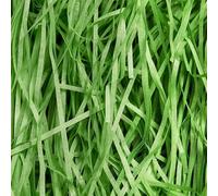 WedDecor 100g Christmas Green Shredded Tissue Paper for Gift Boxes