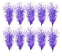 WedDecor 35cm Light Lilac Ostrich Feathers for Wedding Decoration - Real Feather Supplies for Crafts, DIY Headdresses, Dressmaking, Table Centrepieces & Fashion Accessories, 10pcs