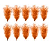WedDecor 35cm Orange Ostrich Feathers for Wedding Decoration - Real Feather Supplies for Crafts, DIY Headdresses, Dressmaking, Table Centrepieces & Fashion Accessories, 10pcs
