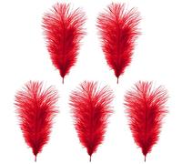WedDecor 35cm Red Ostrich Feathers for Wedding Decoration - Real Feather Supplies for Crafts, DIY Headdresses, Dressmaking, Table Centrepieces & Fashion Accessories, 5pcs