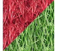 WedDecor 400g Red & Green Shredded Tissue Paper for Gift Boxes