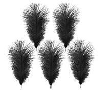 WedDecor Black Natural Ostrich Feathers 14-16" (35-40cm) Long for Wedding Centerpieces, Home, Decorating Costumes, Embellishment, Art & Craft, Parties (Pack of 5)