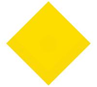 WedDecor Disposable Paper Napkins, 2 Ply, 6.5" x 6.5" Neon Yellow Disposable Luncheon Napkin Serviettes Tableware Perfect for Birthday, Baby Showers, Picnics, BBQs, Weddings & Events, Pack of 20