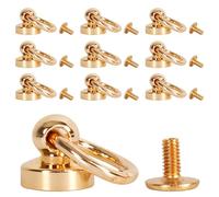 WedDecor Gold Pull Ring Screw Back Studs Brass Chicago Dome Head Rivets for DIY Leathercraft, Clothing, Bags, Footwear, Fashion Accessories, 9.5mm, 10pcs