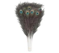 WedDecor Large Real Peacock Feathers 27" - 31", Colourful Tail Feathers for DIY, Kid's Arts and Crafts, Projects, Carnival Dress-Up Home Wedding Decorations, 10pcs