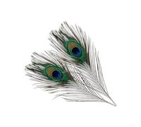 WedDecor Medium Real Peacock Feathers 15" - 18", Colourful Feathers for DIY, Kid's Arts and Crafts, Projects, Carnival Dress-Up Home Wedding Decorations, 25pcs