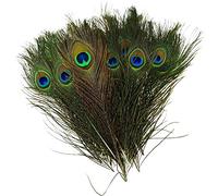 Weddecor Natural Peacock Tail Beautiful Feathers for Arts and Crafts, Home, Wedding, Costumes, Parties, DIY Decoration, Hats, Decoration Props 10-12" (100pcs)