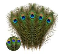 WedDecor Natural Peacock Tail Feathers, Small, 10" - 12", 10pcs | Beautiful Feathers for for Vase, DIY, Kid's Arts and Crafts, Projects, Carnival Dress-Up Home Wedding Decorations