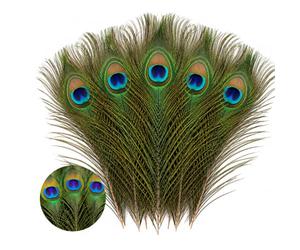 WedDecor Natural Peacock Tail Feathers, Small, 10" - 12", 10pcs | Beautiful Feathers for for Vase, DIY, Kid's Arts and Crafts, Projects, Carnival Dress-Up Home Wedding Decorations