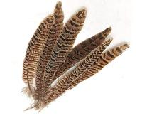 Weddecor Pheasant Feathers, DIY Pheasant Tails Natural Feather, 25-30cm Soft Native Plume for Hats, Hair, Crafts Party, Decoration Props, 10pcs