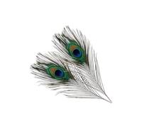 WedDecor Small Real Peacock Feathers 10" - 12", Colourful Feathers for DIY, Kid's Arts and Crafts, Projects, Carnival Dress-Up Home Wedding Decorations, 50pcs