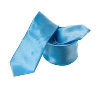 WedDecor Solid Color Formal Neckties, Men Ties for Funeral Wear Plain Satin Slim Ties for Wedding, Business, Events, Office Casual & Formal Wear Accessories, 56 Inches