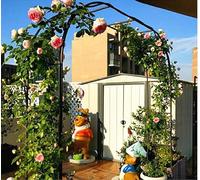 Wedding Arch for Garden, Metal Trellis Rose Arch, Outdoor Party Decoration, Various Sizes (120cm, 160cm, 180cm, 200cm, 300cm x 220cm) - Elegant Black Design