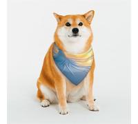 Wedding by The Sea Dog Bandana for Small Medium Large Dogs, Cat Dogs Kerchief Triangle Bibs Scarf for Girl Or Boy