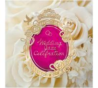Wedding Jazz Celebration ~Œ‹¥Ž®‚ðƒIƒVƒƒƒŒ‚Éü‚éBGM~
