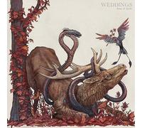 Weddings - Book of Spells [VINYL]